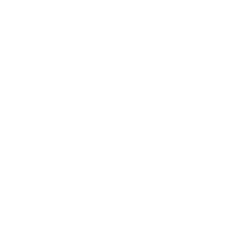 OPERATORE VIDEO - facebook